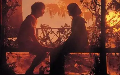 是什么让我们痛苦和失望学会宽恕让生活具有多种可能性