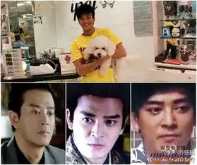 古剑奇谭曝摇滚贺岁剧照郑爽杨幂貌美朋克手钟汉良新天龙八部pk陈晓陈妍希新神雕侠侣刘诗诗步步惊情惊艳杨颖云中歌pk杨蓉袁珊珊2014电视剧抢先看
