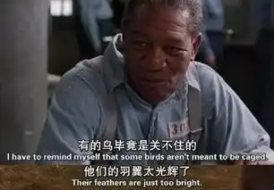 有些鸟儿是永远关不住的在电影中哪个时间段说的
