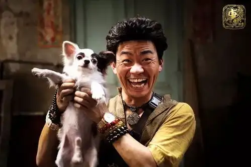 当代电影近年来国产推理片与推理小说的联系