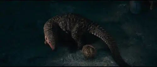 怒晴湘西版神奇动物在哪里湘西探险防兽害生存指南