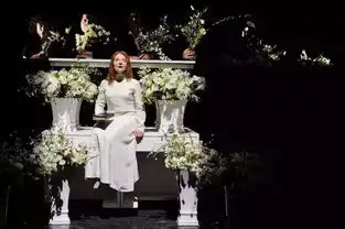 成败悲喜有关契诃夫海鸥的谜题
