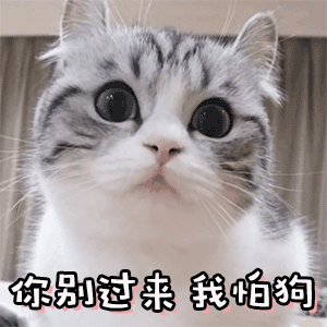 网络聊天怼人必备表情包来了,快来收图,我们气势绝对不能输