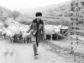 平凡的世界最走心的二十句话,总有一句让你热泪盈眶