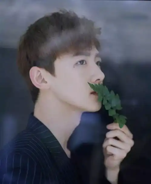 宝藏男孩第二弹你老公都在这
