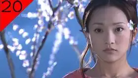 射雕英雄传20
