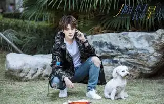 夜天子还在热播,徐海乔又有新剧来袭,上演明星与助理的故事
