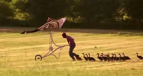 48部适合春节亲子共看的电影片单来了16年级