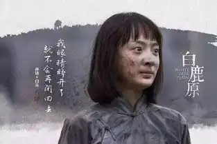民族史诗力作白鹿原凡是怕人知道的事就不该做
