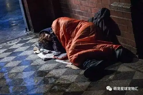 那个冬天不太冷火爆英国,流浪猫鲍勃的故事