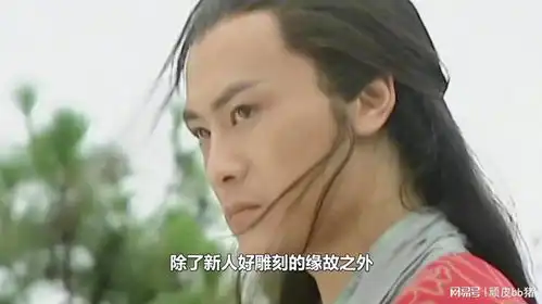 笑傲江湖张纪中说林青霞不如茅威涛,李解确实被低估了
