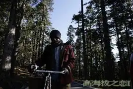 高海拔之恋剧照古天乐郑秀文治愈系爱情