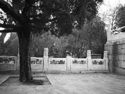 颐和园云龙纹望柱头被盗园方正进行价值评估
