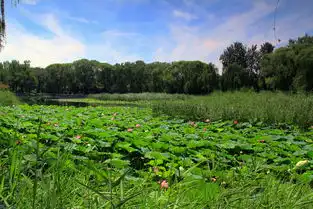 颐和园旧景新拍
