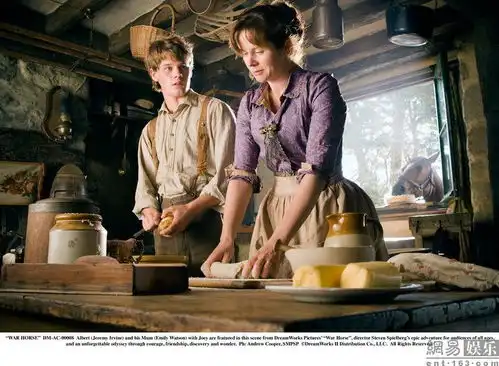 斯皮尔伯格新作战马高清剧照
