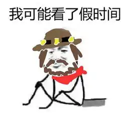 我可能玩了个假寒刀手游
