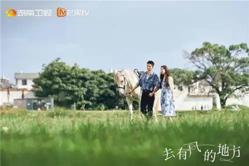 华策影视去有风的地方获首尔电视剧大赏最佳长剧
