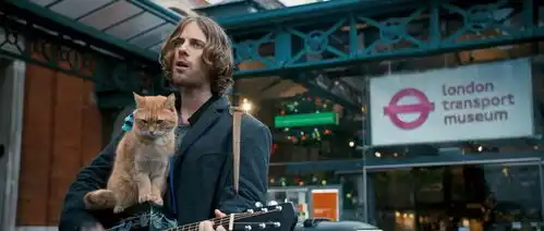 这个月上映的片子,据说吃土也要看完