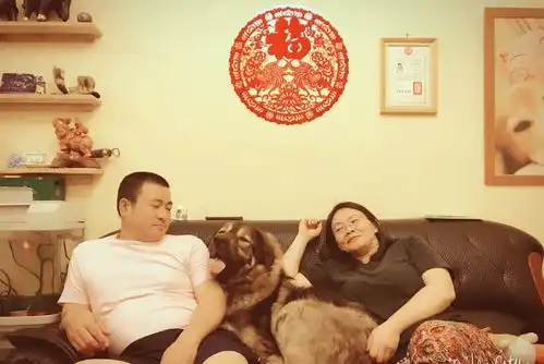 大型高加索被遗弃3次,新主人一家用爱心融化它的戒备