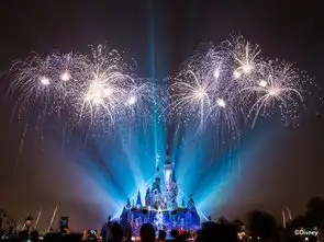 打个飞的去上海并不是一次说走就走的旅行