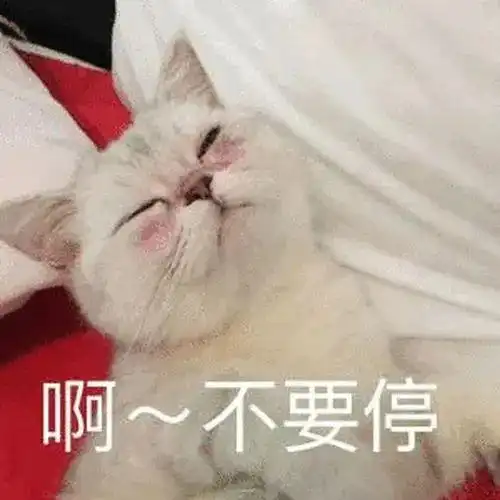 我他妈表情包出处你走吧