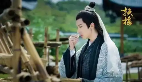 曾是偶像剧一哥,现杨幂要帮他再一次爆红
