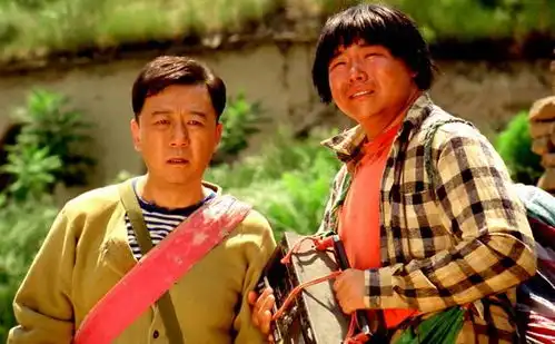 温暖的喜剧,小成本电影代表作高兴
