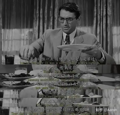 杀死一只知更鸟|读书笔记
