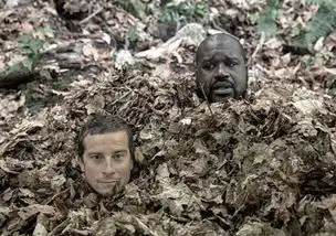 奥尼尔最想删除的照片,和科比闹矛盾翻脸,荒野求生被贝爷生埋
