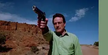 绝命毒师有第六季嘛
