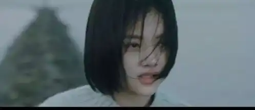 不是原谅,只是算了