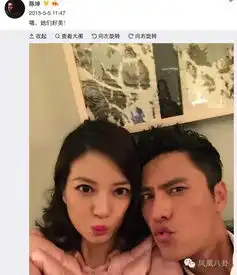 赵薇事件一出事躺枪的总是陈坤赵薇和陈坤有什么关系