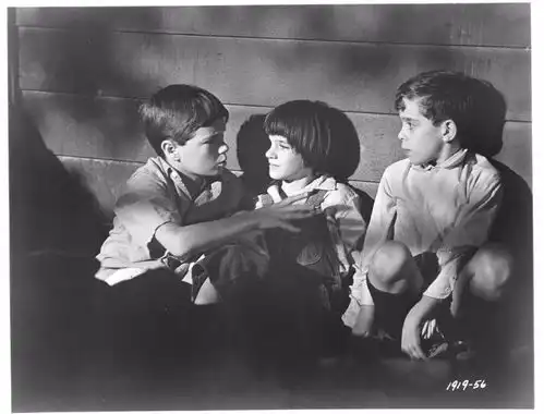 好书推荐哪怕中秋不出门,也要看完的一本小说