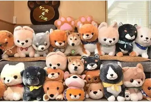 给自家的两只柴犬买了几十只玩偶,结果
