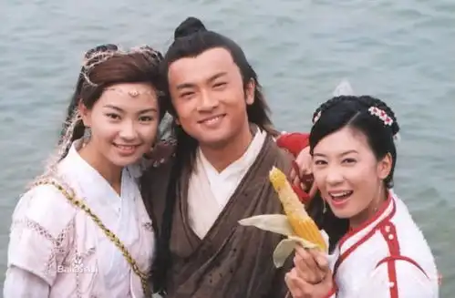 赵敏是怎么搞到张无忌的