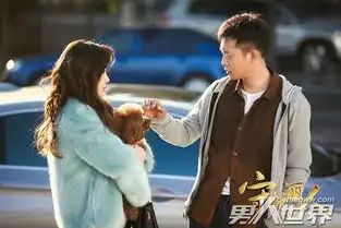 石磊结局守护丽人石磊扮演者是谁是好是坏结局和谁在一起了男人世界
