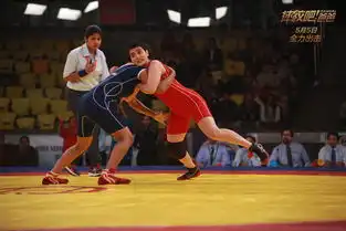 摔跤吧爸爸发布女儿当自强新版特辑