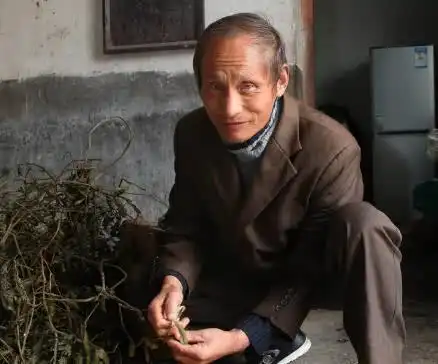 因为长得像普京,亮相娜塔莎一次出场费高达5千
