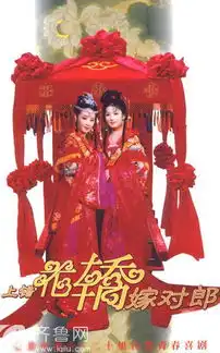 上错花轿嫁对郎剧照
