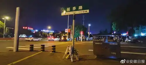 这块路牌下一片花海,火遍全网
