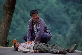 落叶归根精彩剧照欣赏14
