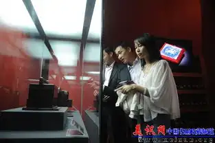 两依藏珍展故宫博物院开幕