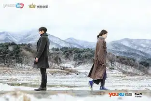 打造最强文化生态系统,优酷全网独家引进超级ip任意依恋