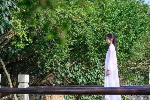 苏州西山有个古村落,何以笙箫默也来取过景苏州绿豆汤里还有饭
