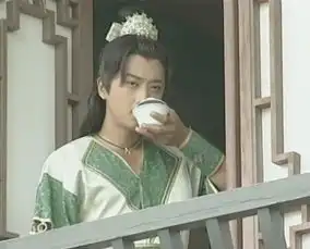 东宫中的他,是霹雳菩萨中的石惊天,也是刁蛮公主中的逍遥王