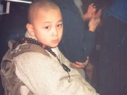 释小龙小时候都演了哪些电影