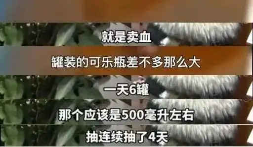 小信防诈骗当孤注一掷照进现实