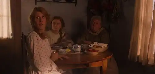 罗南拒婚的真正原因是什么除了先锋与女权,小妇人新在哪