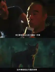 如果把妖猫传的黑猫换成橘猫....
