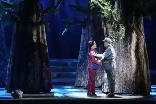 文化长汀丨原创民族歌剧松毛岭之恋在中国歌剧节上征服南京观众该剧专家座谈会也举行
